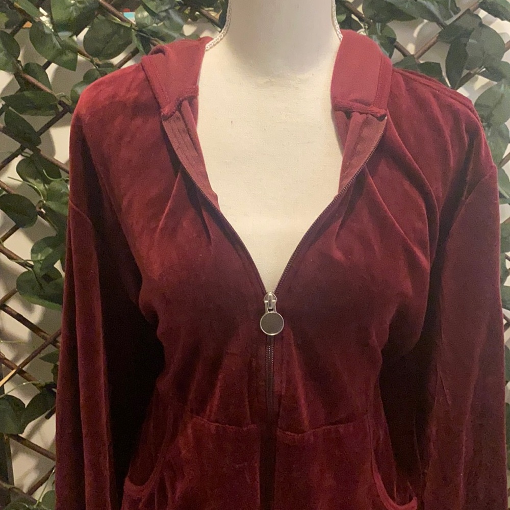 Velvet Zip Up Hoodie